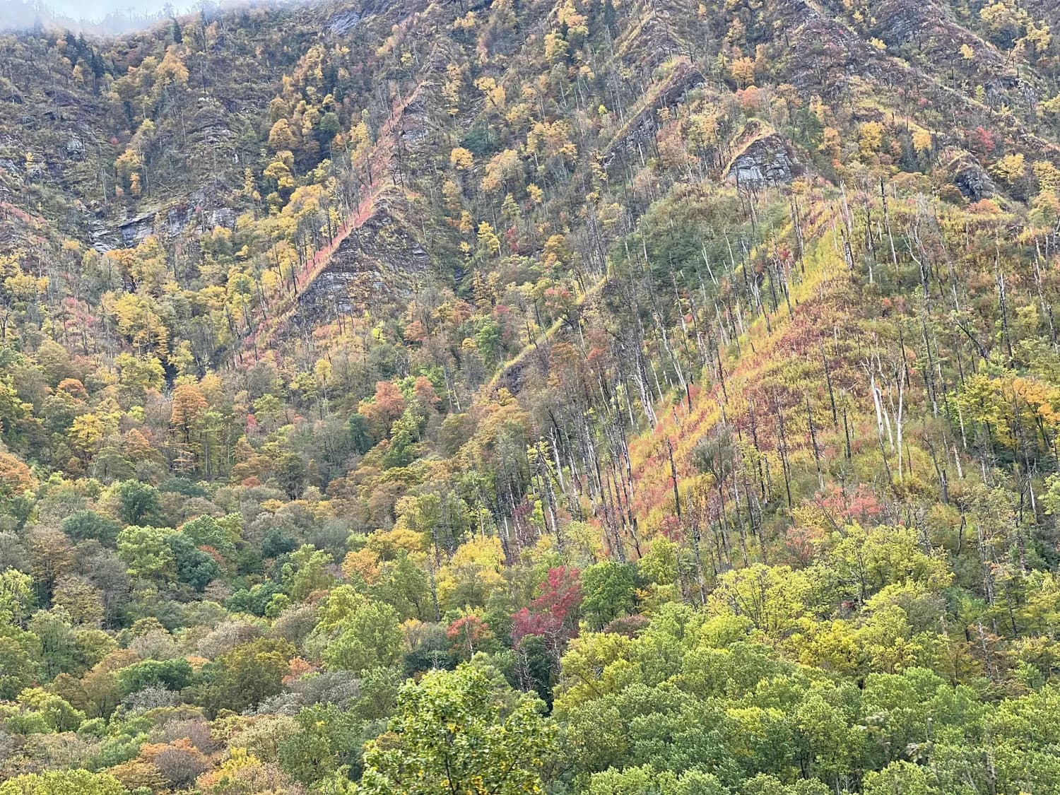 秋冬打卡南阳必去：老界岭景区