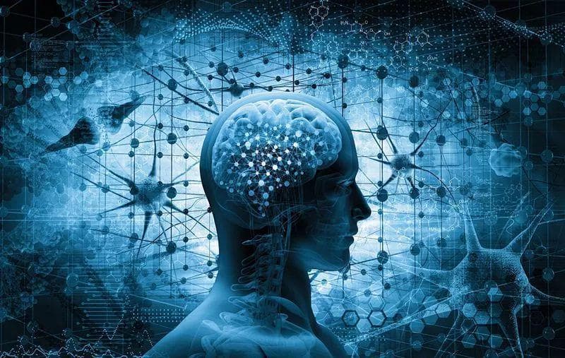 意识是人类区别于动物的根本所在，人类为什么拥有意识？