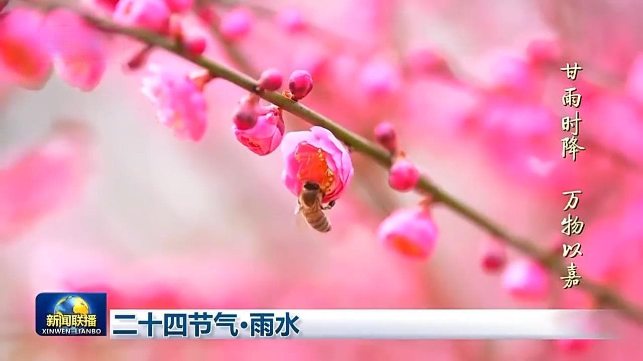文化中国行丨二十四节气·雨水 好雨知时节 当春乃发生