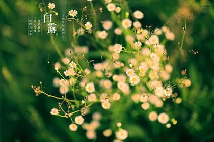 2025年农历新年剪发习俗：剪发对新年运势的影响