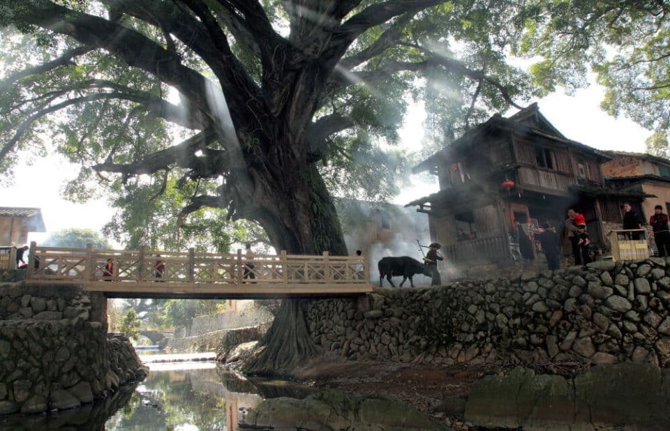 福建官洋村入选“最佳旅游乡村”：土楼文化与自然风光交相辉映