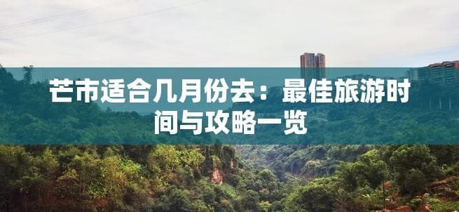 芒市适合几月份去：更佳旅游时间与攻略一览