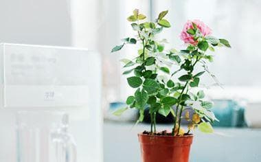 小区种菜违反什么法律？一文详解小区种菜、楼顶种菜和楼顶漏水的法律问题