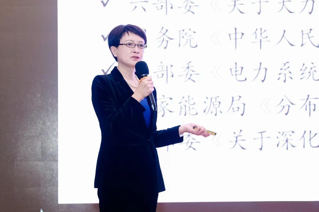 刘亚芳：136号文推动储能新机遇，复合与耦合储能成未来重点