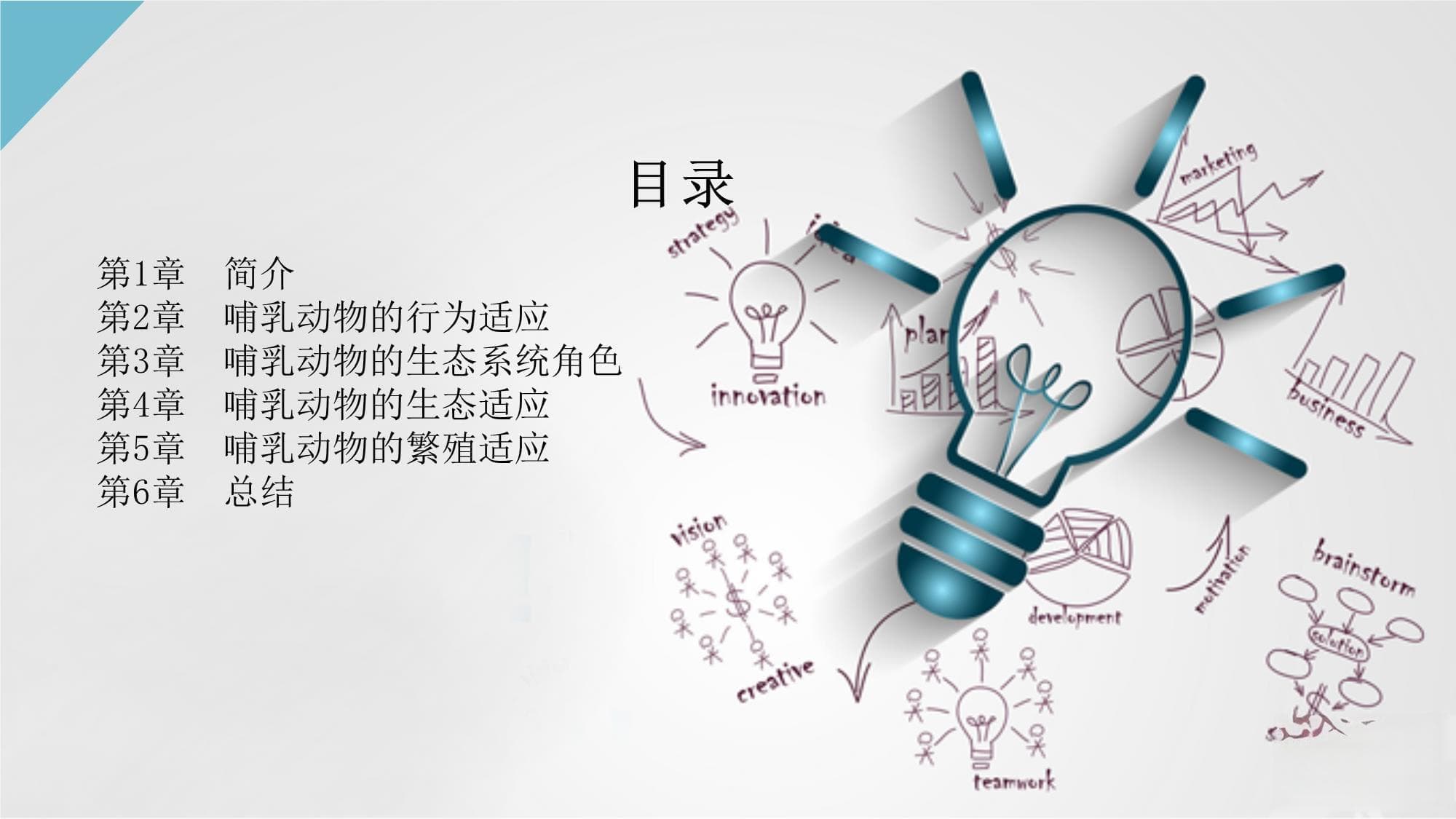 哺乳动物对环境的适应与生态系统功能