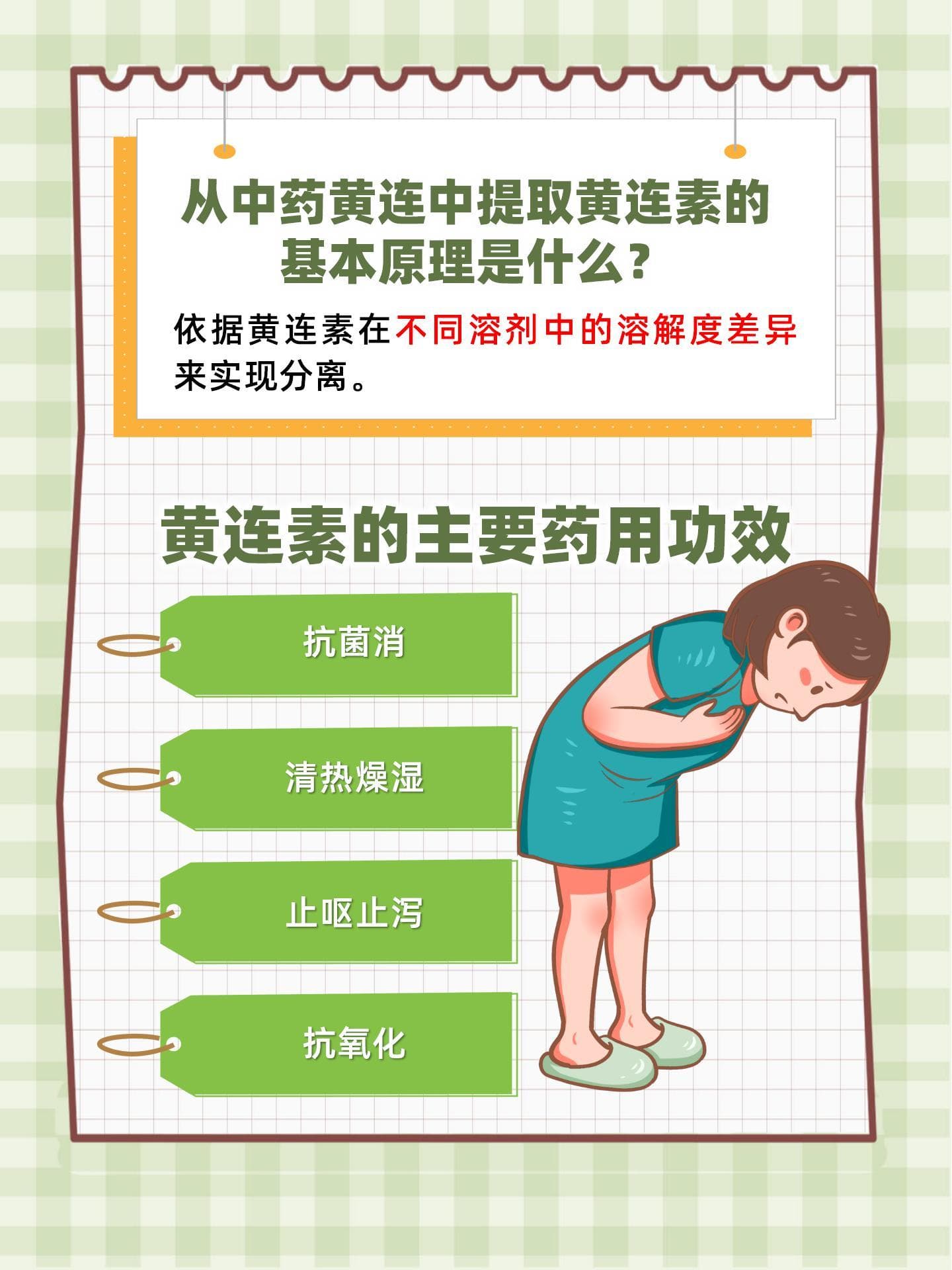 黄连素提取原理及应用详解