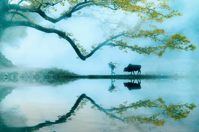 清明节十大传统习俗 这些清明节风俗不能忘