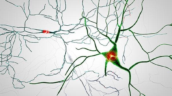 神经管缺陷：成因、类型及预防措施全解析