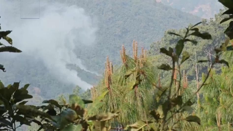 云南临沧山火已扑灭 转入清理看守阶段