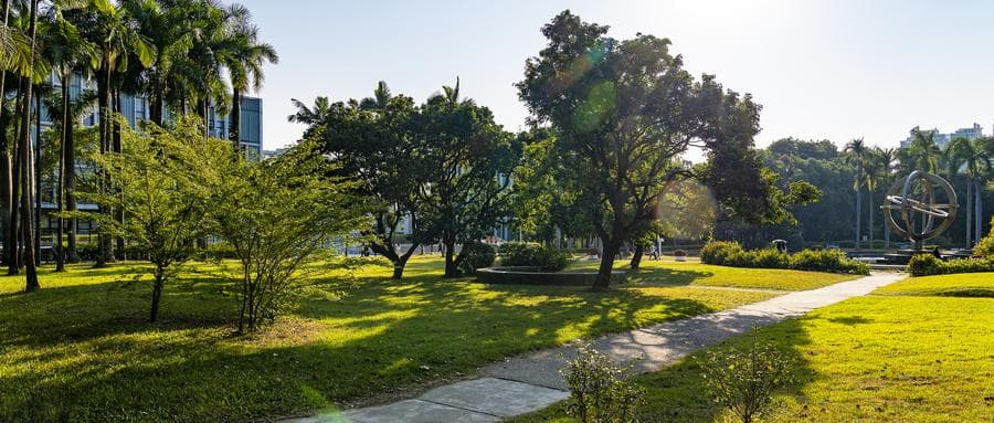 张雪峰评深圳理工大学：实力与优势专业全解析