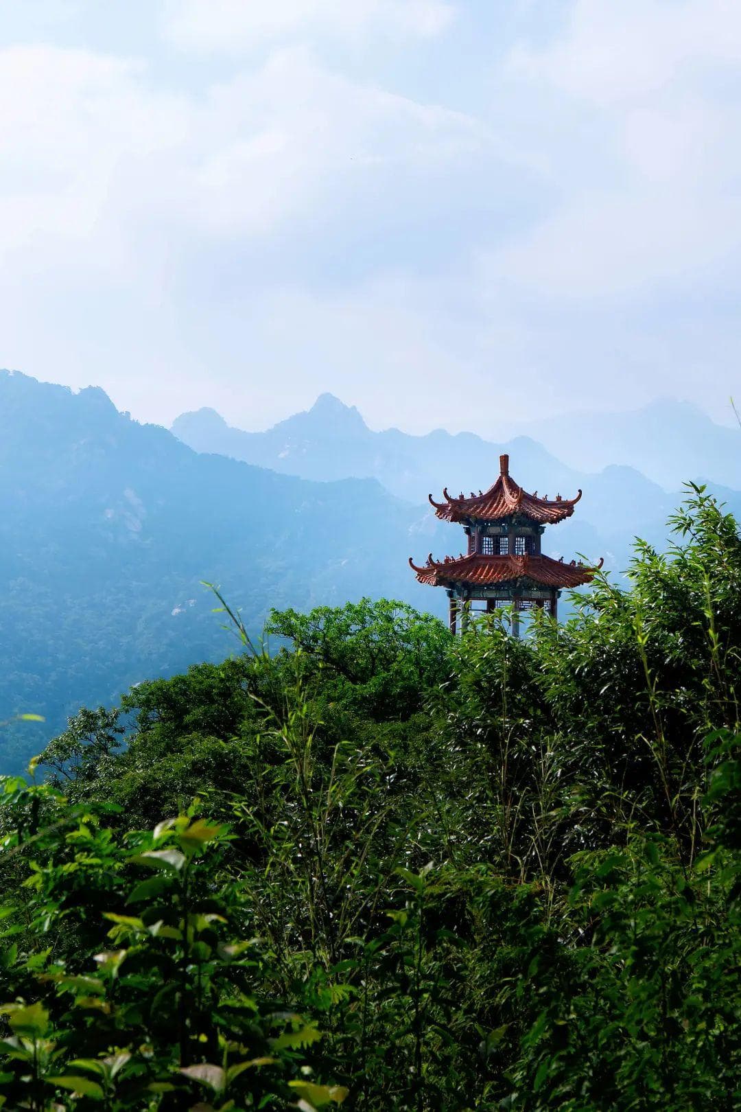 昆嵛山开山啦！烟台还有这些春游好地
