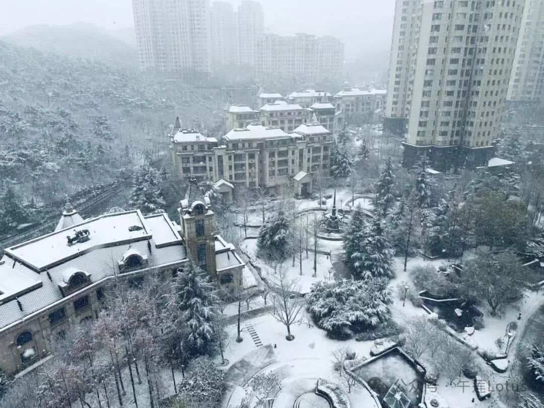 食神的等级和层次