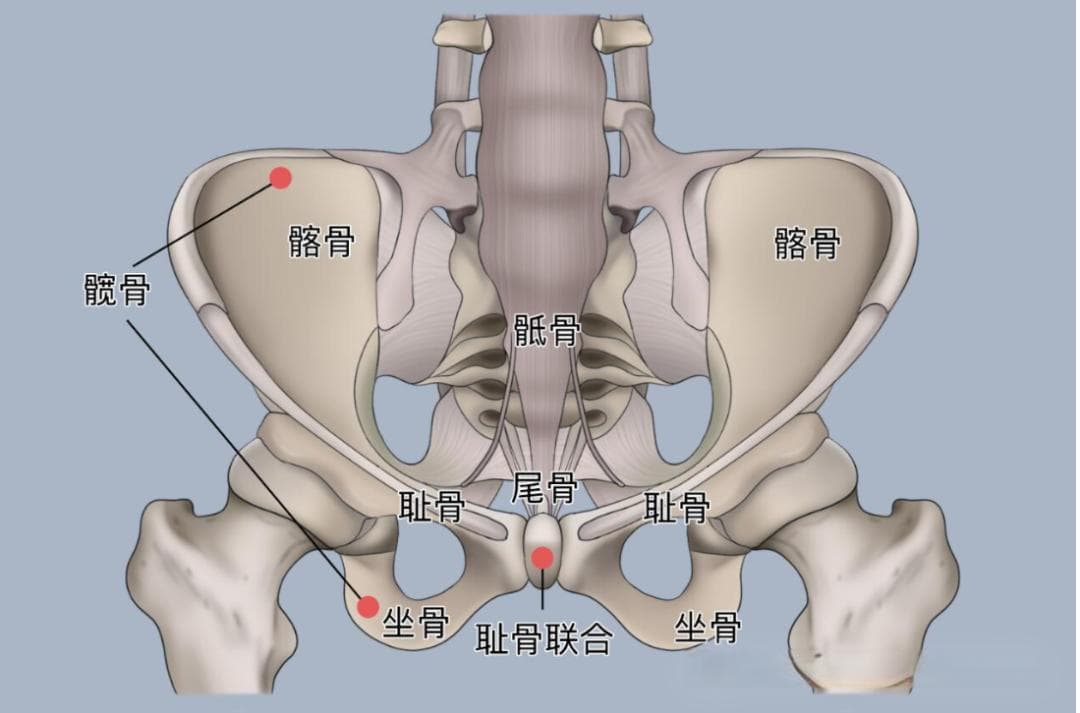 身体有恙，胯骨先觉！总是“髋关节疼痛”，可能是这 4 种疾病在求救