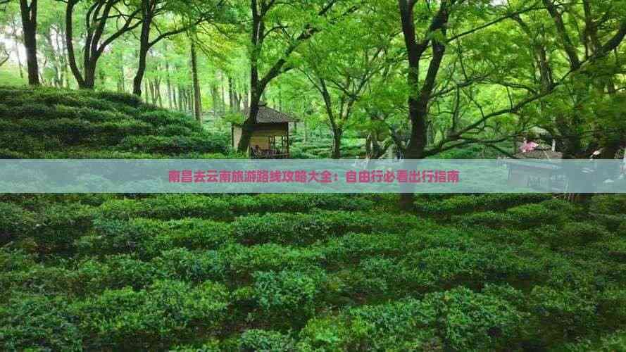 南昌去云南旅游路线攻略大全：自由行必看出行指南