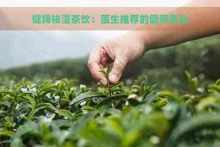医生推荐的健脾祛湿茶饮：五种茶饮的功效与制作方法