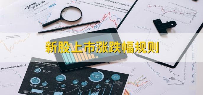 新股上市规则全解析：从涨跌幅到中签缴费