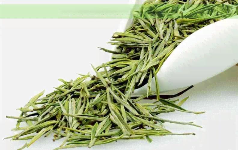 探究尿液变普洱茶色的原因及可能的健康含义