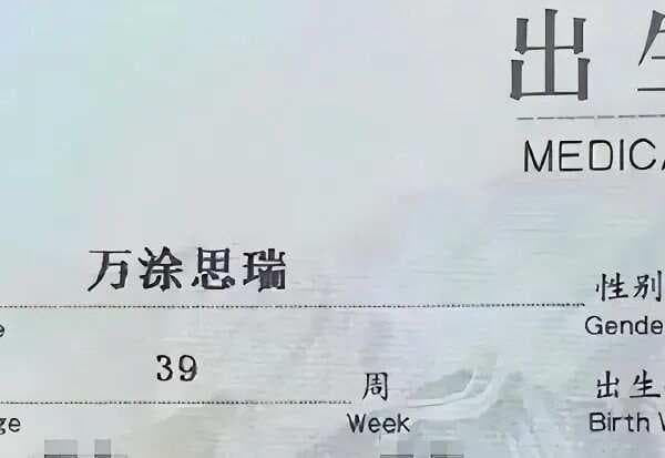 古代称呼中的“姓、氏、名、字、号”，这些都有什么区别？