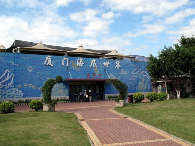 厦门海洋馆哪里好? 一文详解各馆特色与亮点
