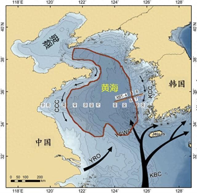 深海三文鱼！连云港欲下黄海“冷水团”先手棋