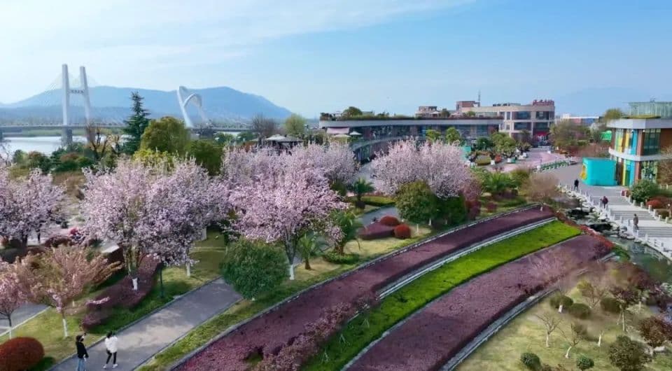 汉中春日赏花全攻略：八大景点尽显春日美景
