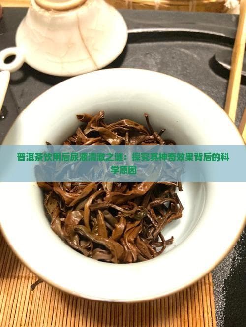 普洱茶饮用后尿液清澈之谜：探究其神奇效果背后的科学原因