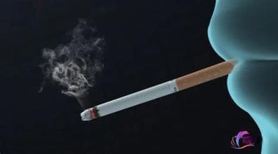 一类让你胆固醇飙升的食物，很多人都不知道