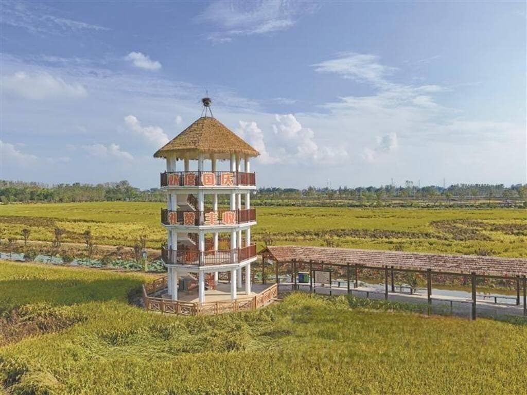 芜湖白茆镇：四季旅游品牌助力乡村振兴