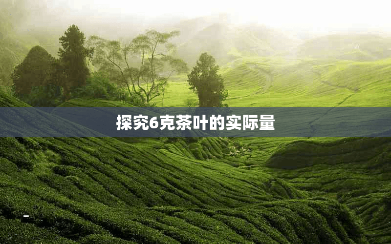 探究6克茶叶的实际量