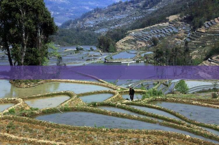 去三沙群岛旅游要多少钱？费用及出行方式全解析