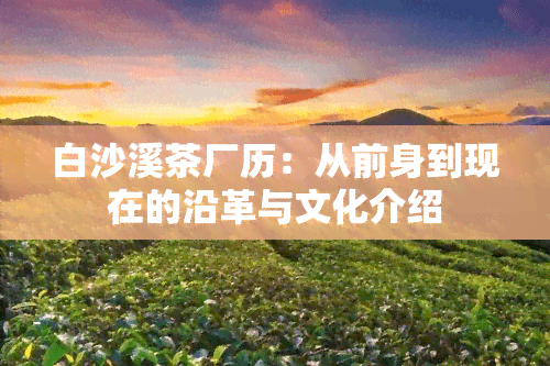 白沙溪茶厂历：从前身到现在的沿革与文化介绍