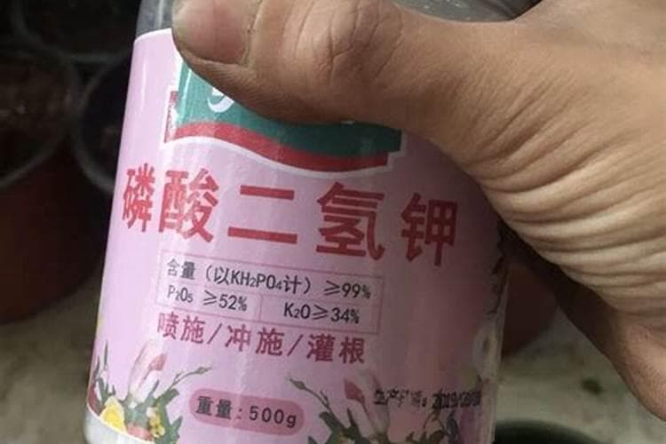 花卉种植中含磷肥料的使用指南