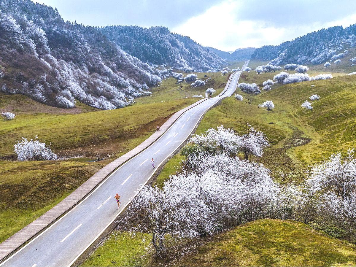 重庆仙女山雾凇奇观：南方罕见的冰雪童话世界