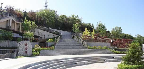 东北财经大学历年招生信息汇总