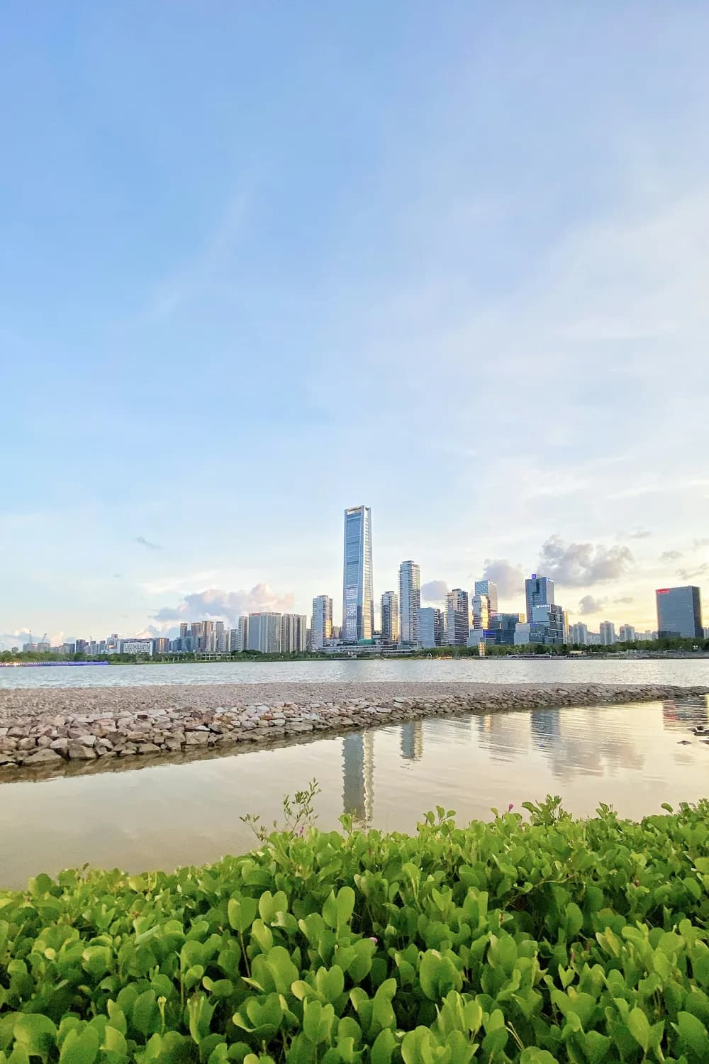 广州直播带货：撬动地方经济新引擎