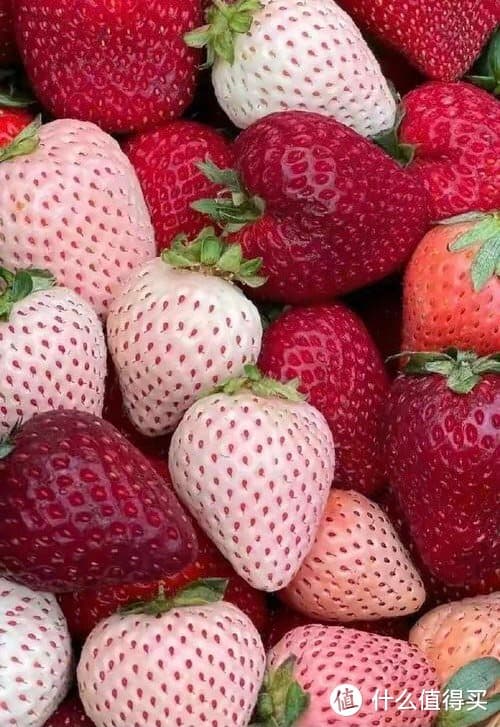 肉夹馍的营养成分及健康影响分析