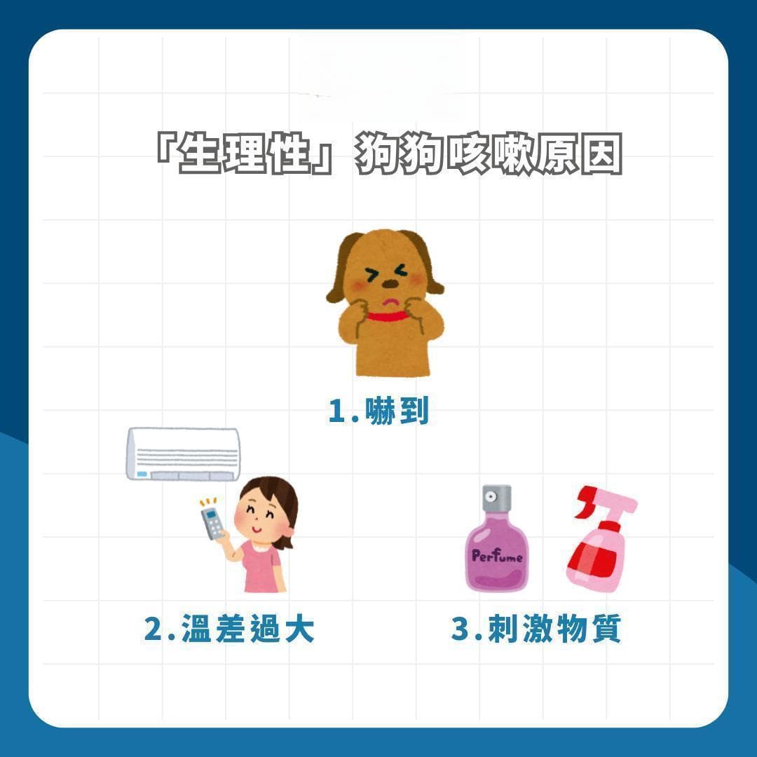 狗狗咳嗽怎麼辦？竟是心臟病嗎？飼主們務必留意的７個狗狗咳嗽原因