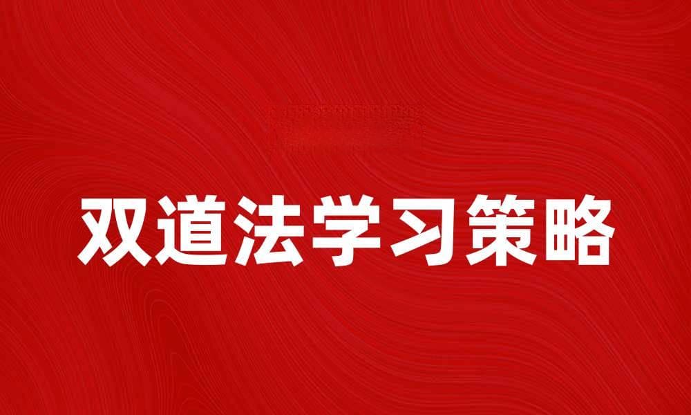掌握双道法，轻松提升你的学习效率与记忆力