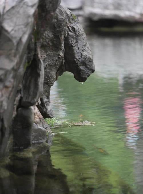 梦见地面冒水出来：多重象征意义解析