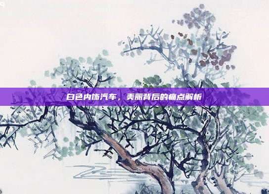白色内饰汽车：美丽背后的痛点解析