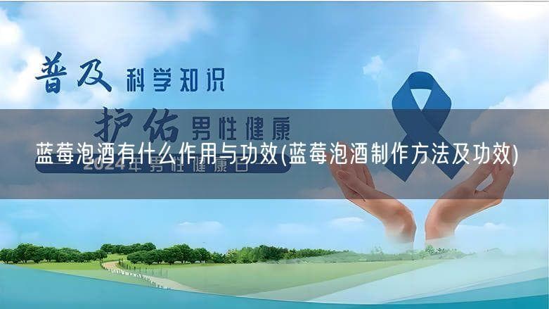 蓝莓泡酒有什么作用与功效(蓝莓泡酒制作方法及功效)