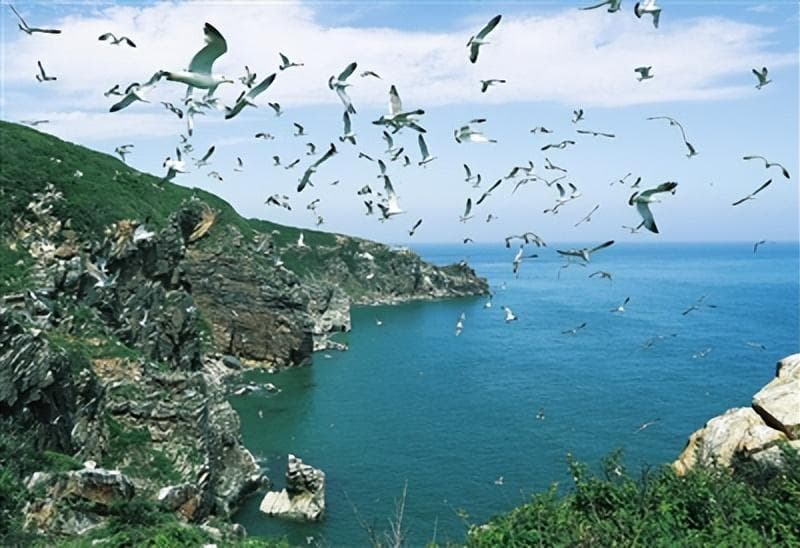 辽宁大连蛇岛—老铁山候鸟栖息地：保护生物多样性 打造鸟类理想家园