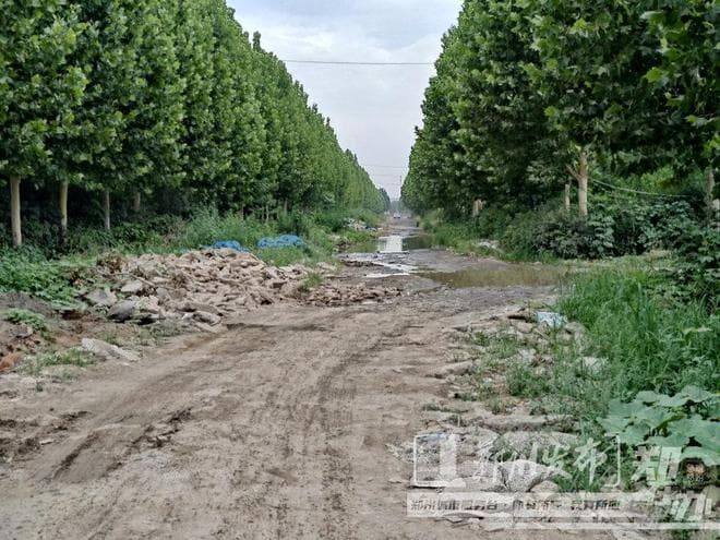 江南路三年未修，居民出行受阻，责任归属成谜