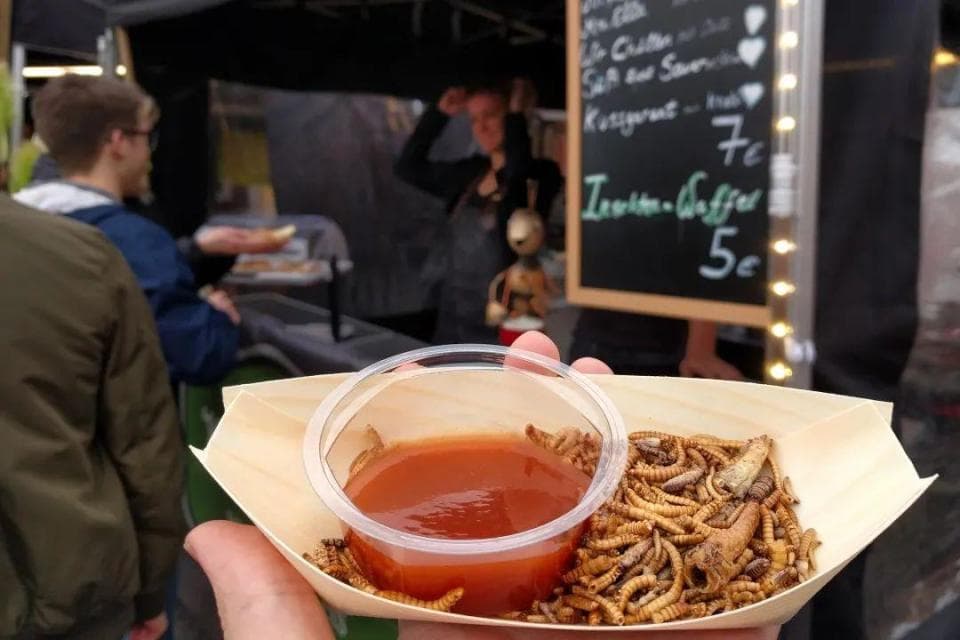欧盟批准将虫子粉末放入面包、果酱等食品中，最高含量可达4%，欧洲人的天塌了