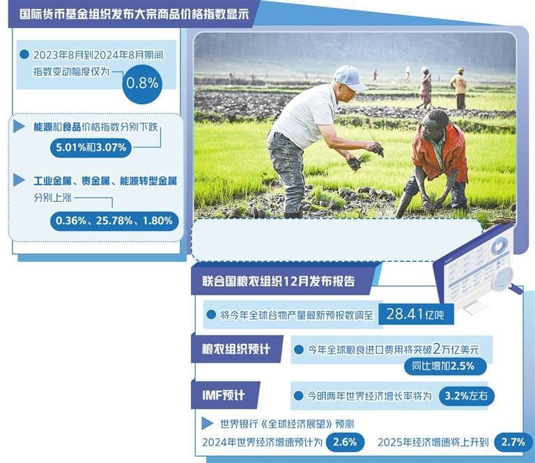 2024世界经济回顾｜全球大宗商品市场走势平稳