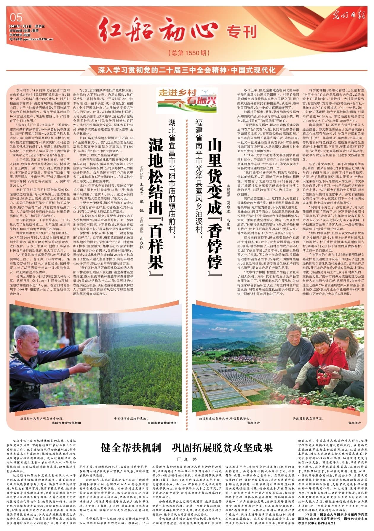 湿地松结出“百样果”：湖北当阳庙前镇的生态转型之路