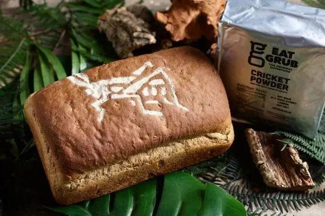 蟋蟀变身餐桌新宠：高蛋白低排放的未来食品