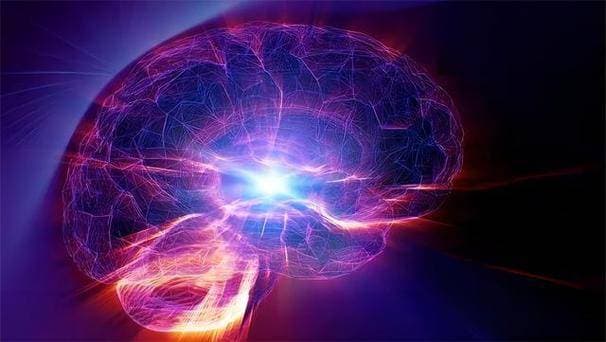 人类记忆的形成与遗忘机制