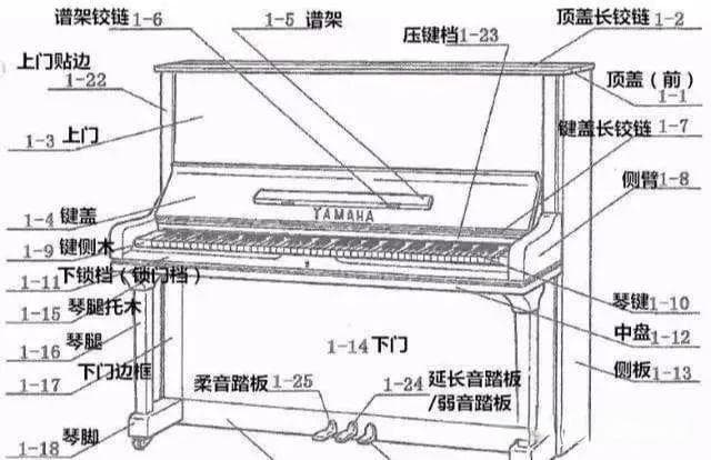 钢琴的内部构造都有哪些秘密？带你了解钢琴的构造