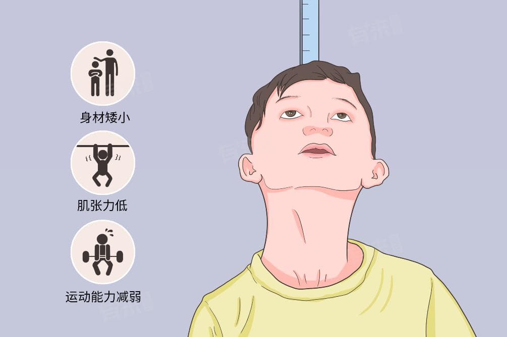 测骨龄需要多少钱